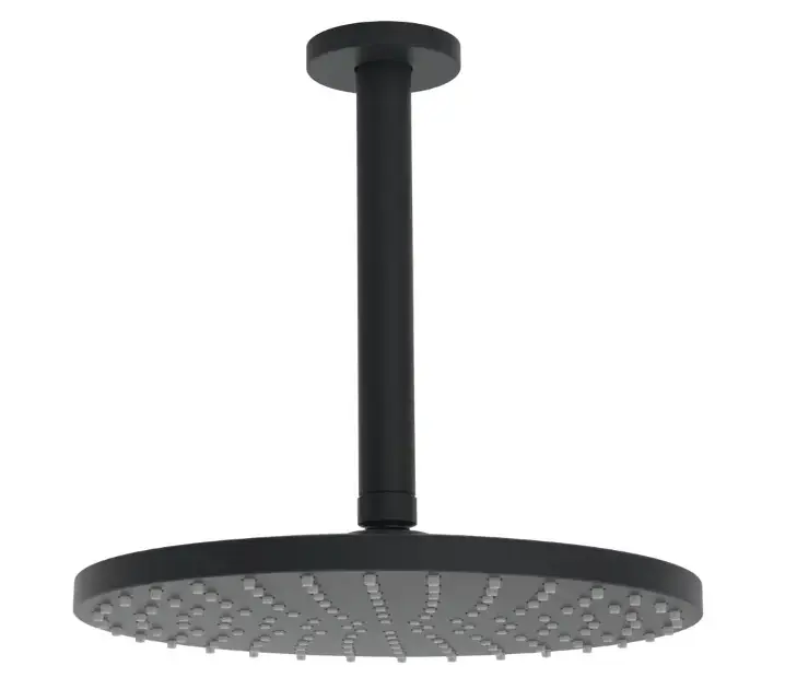 Hansa Viva – Douche de tête, diamètre 3 cm, noir mat 4427020033