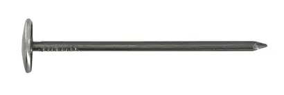 Clou calotin Acier zingué 2,7x60 Vybac de 60