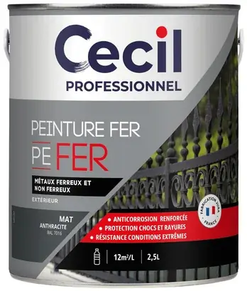 Peinture extérieure fer FERPEINTURE - Anthracite M Mat - 2,5L