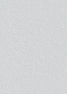 Toile de Verre 165 - 165g - CTDV007