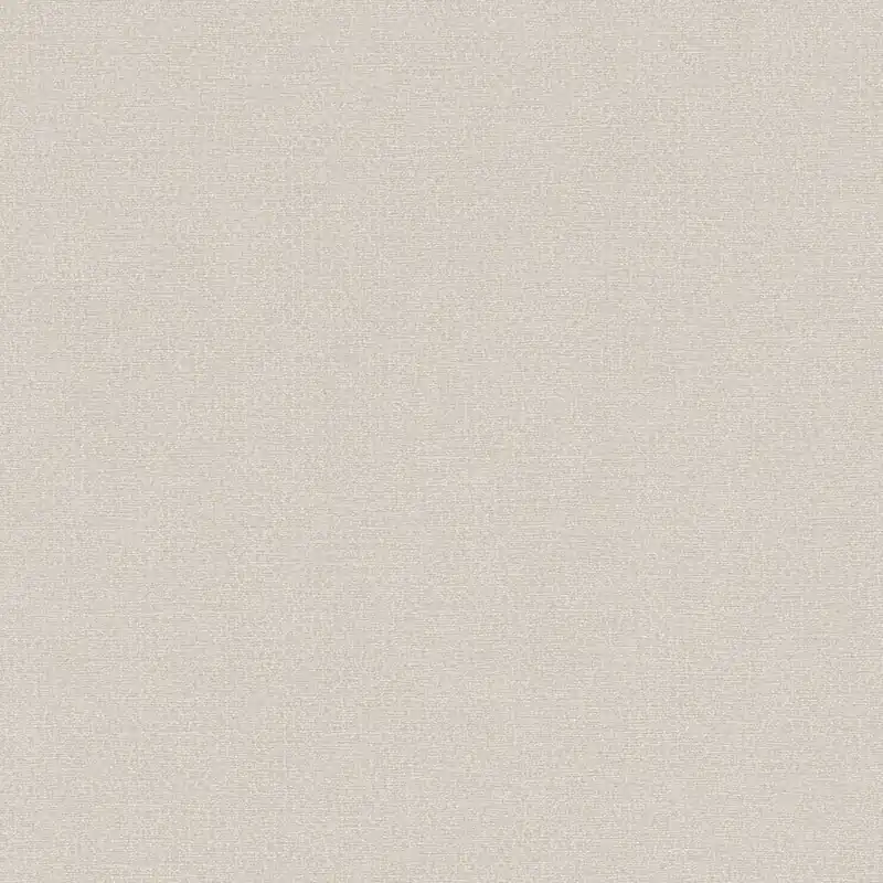 A.S. Creation | Natural Living | 386625 | Papier Peint Intissé | Uni | 10.05 x 0.53 m | Beige