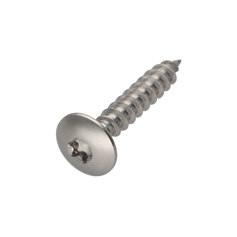 1 x Vis Penture 6X40 Filetée sur 38 TORX T30 Inox A2