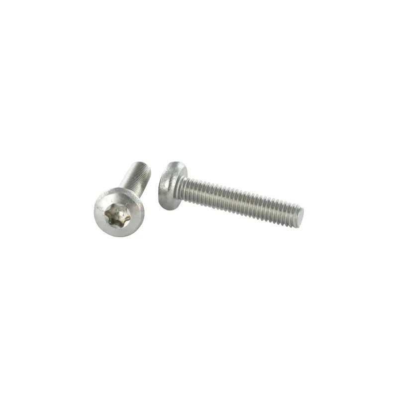 1 x Vis métaux tête cylindrique bombée large Inox A2 M6X50 TORX T30