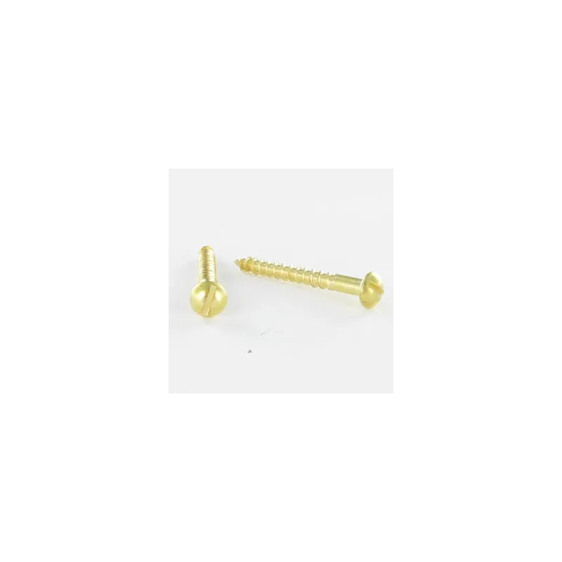 1 x Vis bois Laiton Tête ronde TR Fendue 4.5X35