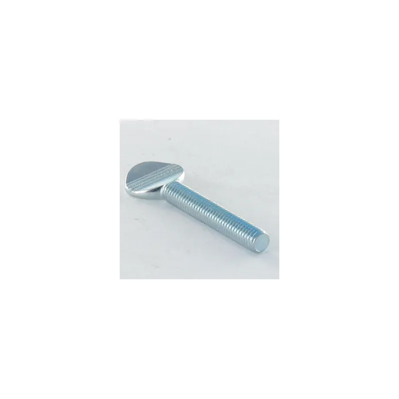 1 x Vis VIOLON M5X15 Acier zingué
