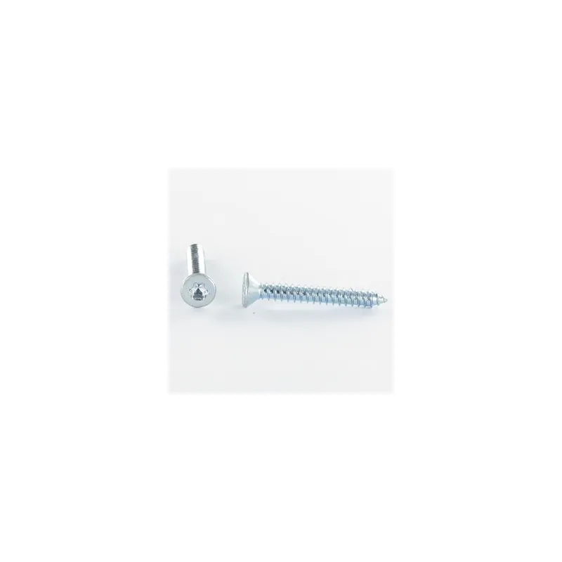 1 x Vis tôle Tête fraisée TORX T8 2.9X19 Acier zingué