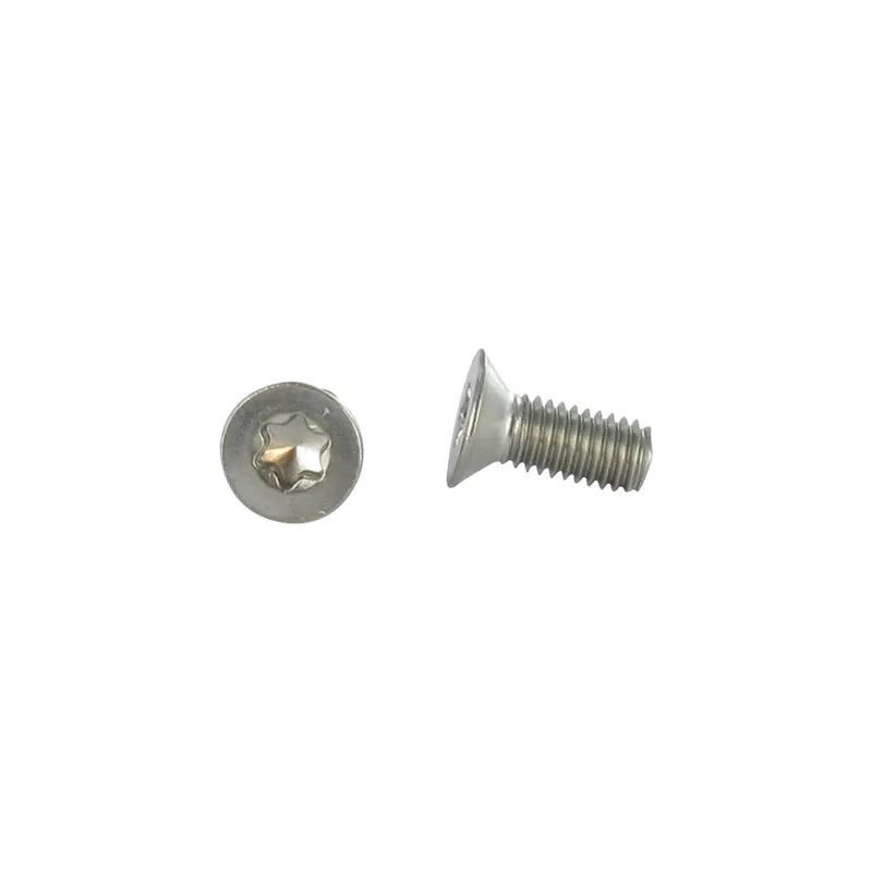 1 x Vis métaux Tête fraisée M5X8 TORX T25 Inox A2