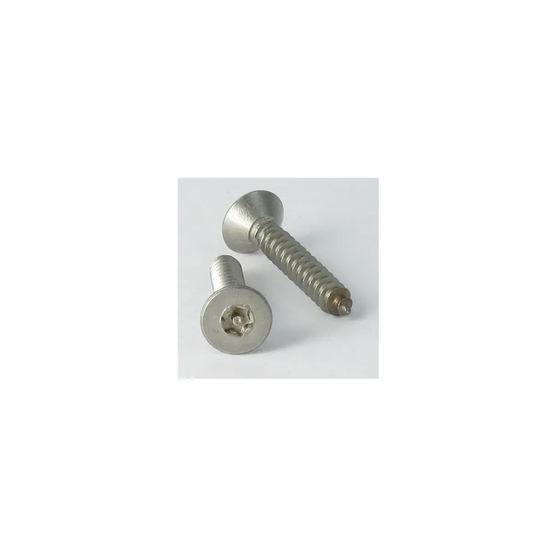 1 x Vis tôle Inviolable Inox A2 Tête fraisée TORX T20 avec téton 4.2X38