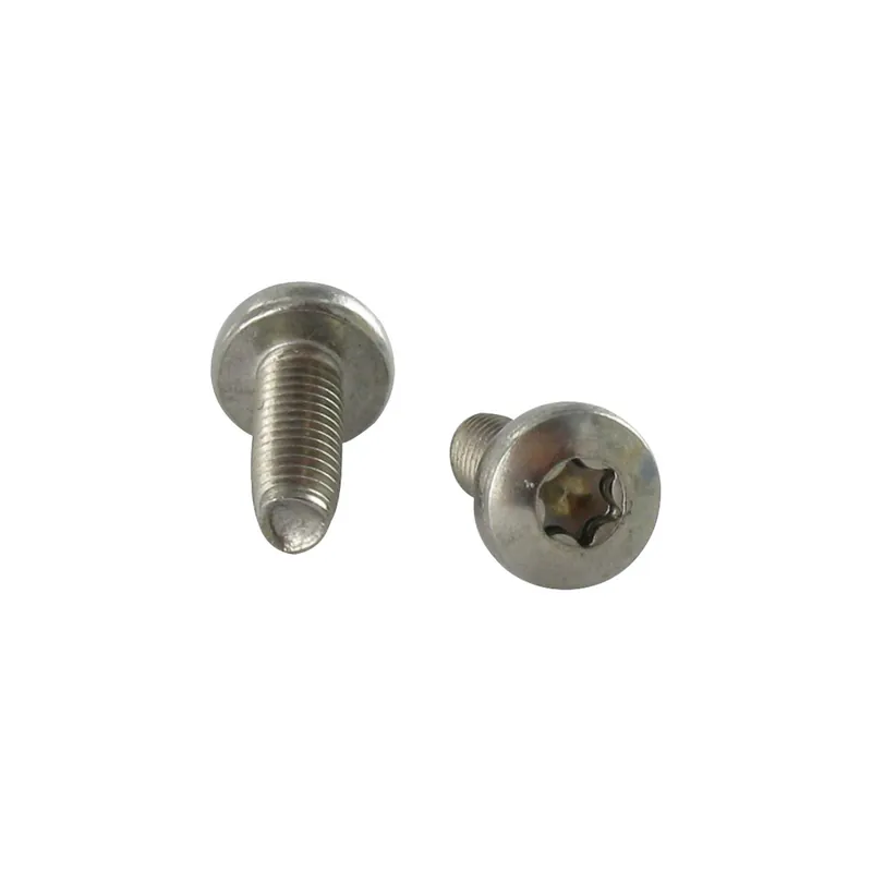 1 x Vis autotaraudeuse Tête cylindrique bombée TCB TORX T30 6X30 Inox A2