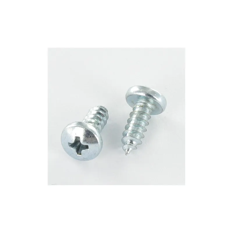 1 x Vis tôle tête cylindrique bombée large Phillips n° 2 4.8X45 Acier zingué