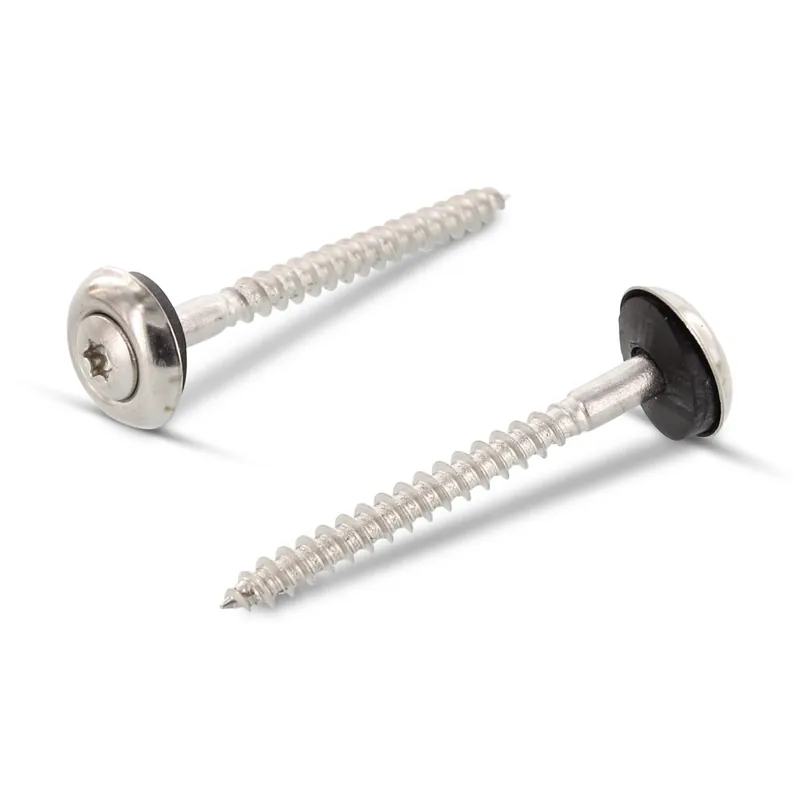 1 x Vis faitage Tête fraisée bombée TFB TORX T20 Inox A2 5X300 Rondelle d'étanchéite EPDM 3P