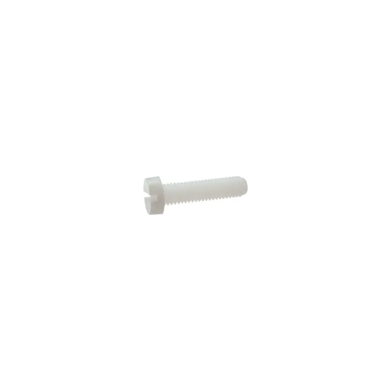 1 x Vis métaux Tête cylindrique TC Fendue M10X25 nylon naturel