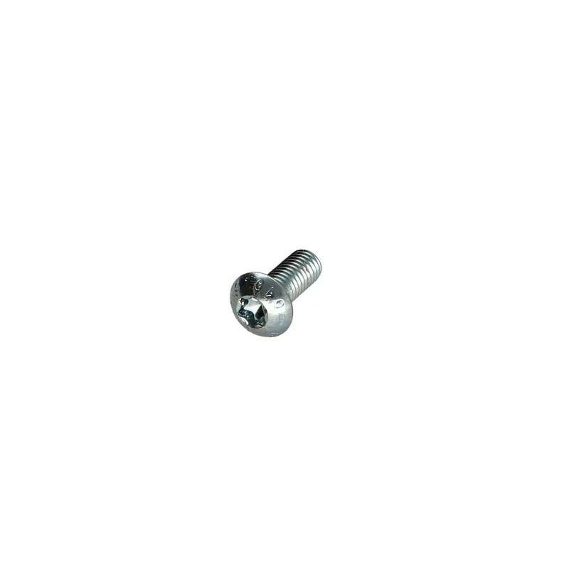 1 x Vis métaux Tête bombée TORX T20 M4X12 Classe 10.9 Acier zingué