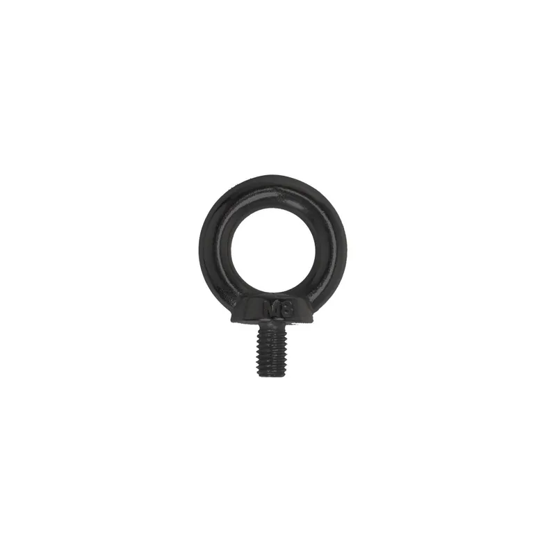 1 x Vis Anneau de levage M10X45 Inox A4 Noir