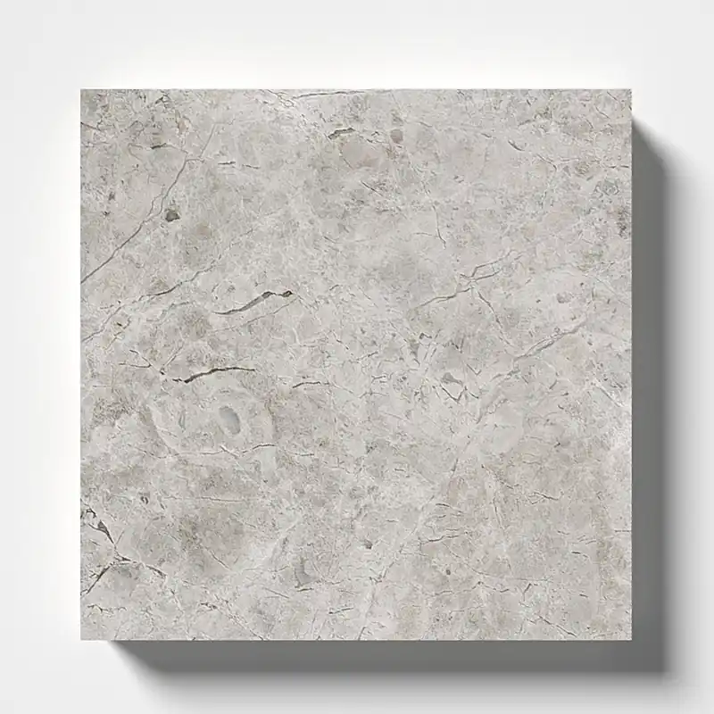Carreau de marbre poli Silver Mystique