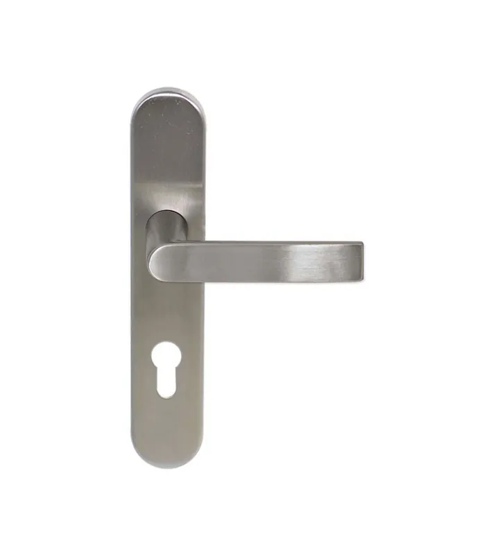 Poignée de porte Bastide sur plaque longue en inox pour portes d&rsquo;entrée